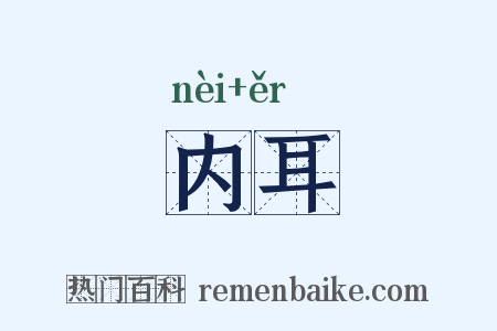 内耳是什么意思的图片